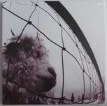 Pearl Jam - VS. winyl 2016 NOWY Remastered