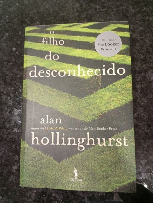 Vendo o livro "O Filho do Desconhecido", de Alan Hollinghurst