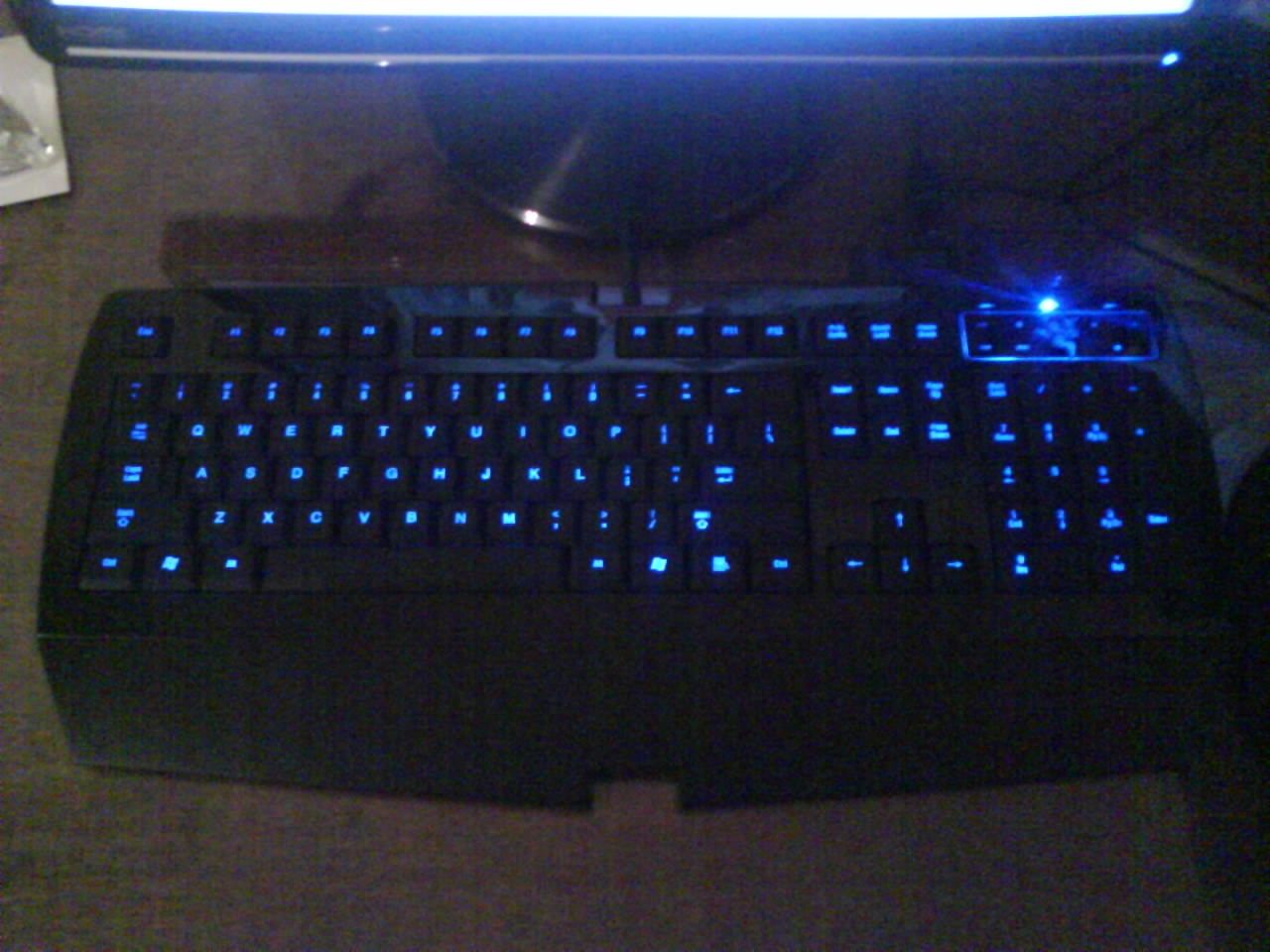 Teclado gamer Razer Lycosa