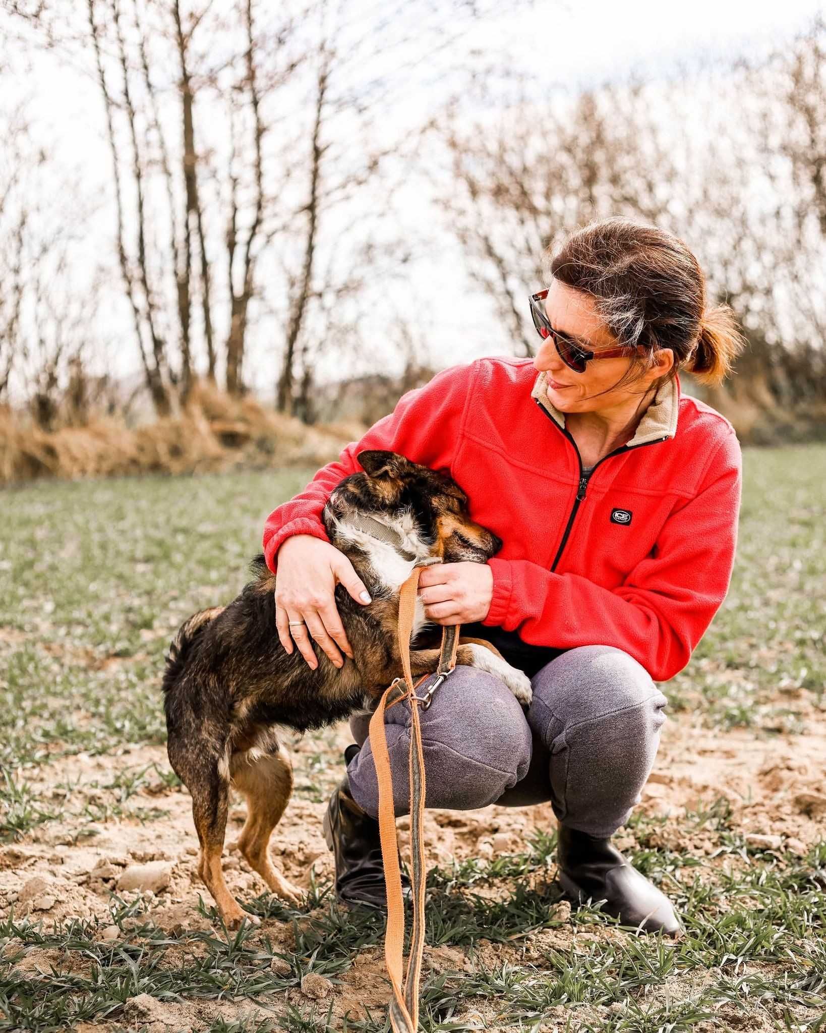 Karlik - przyjazny, mały psiak, szuka domu - do adopcji.