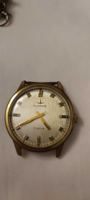 grubo zlocona DUGENA tropica na chodzie