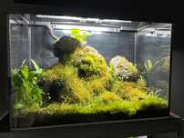 Wiwarium, vivarium, mcharium, terrarium 60x30x40