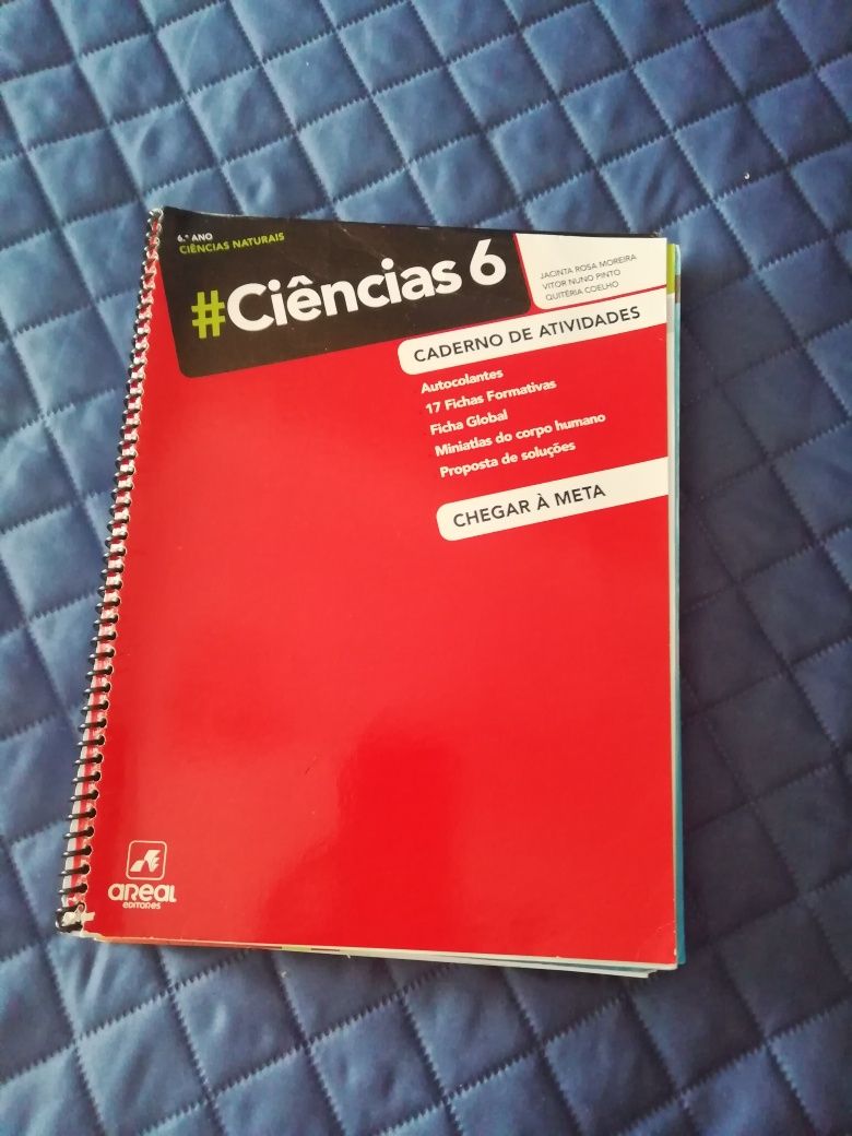 Caderno de fichas 6 ano