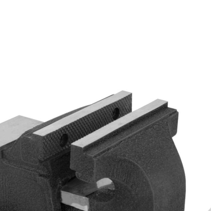 BASS POLSKA Imadło Stołowe Ślusarskie Z Kowadłem 125 Mm BP3261