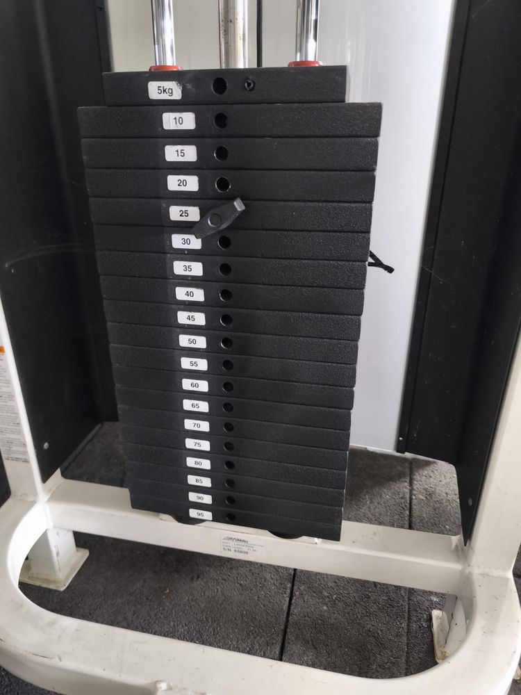 Life fitness lateral raises pro 1