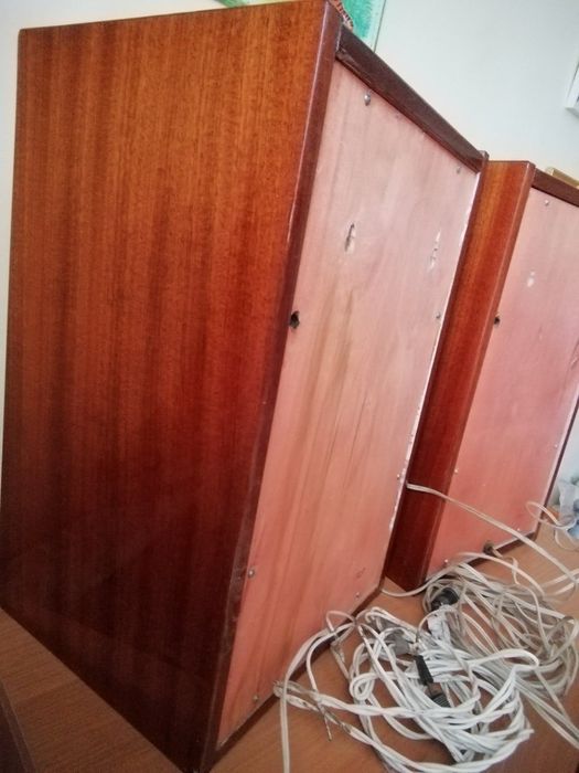 Колонки Вега 101