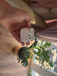 Air Pods 3 Apple