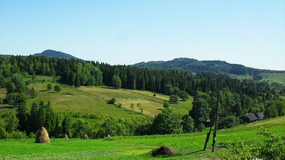 Відпочинок в Карпатах