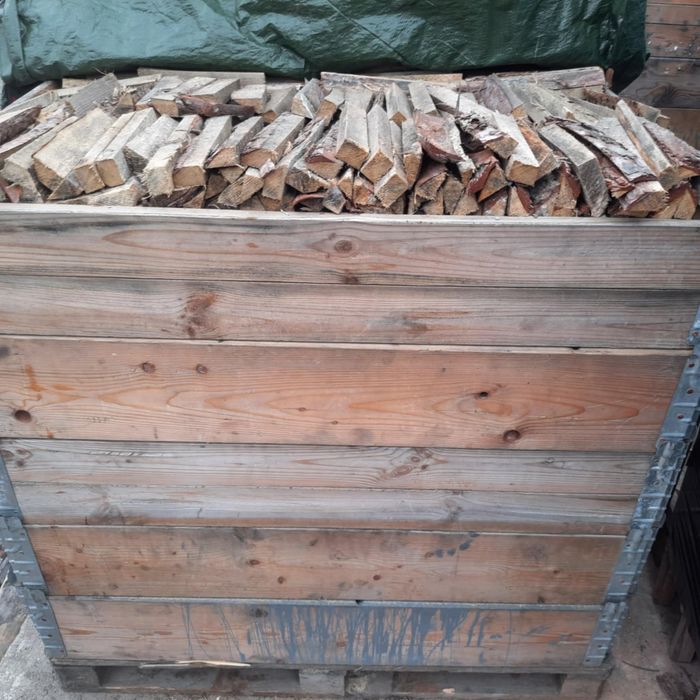 Drzewo sosnowe pocięte gotowe do palenia