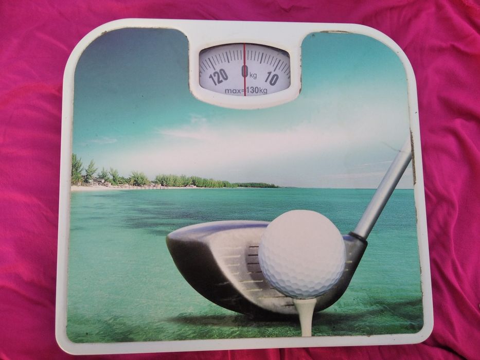 Весы        ваги