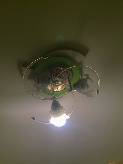 Естетична стельова люстра з матовим плафоном