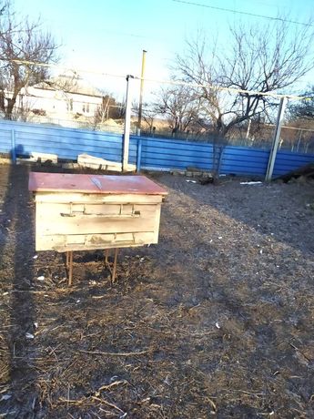 Продам улий для пчёл