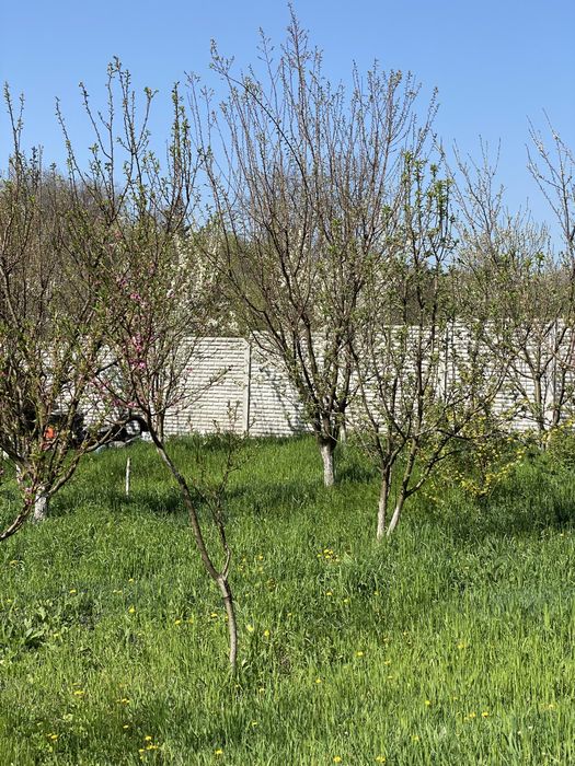 Продам ділянку Тополя, 12 Квартал, 20 сотих\21000$