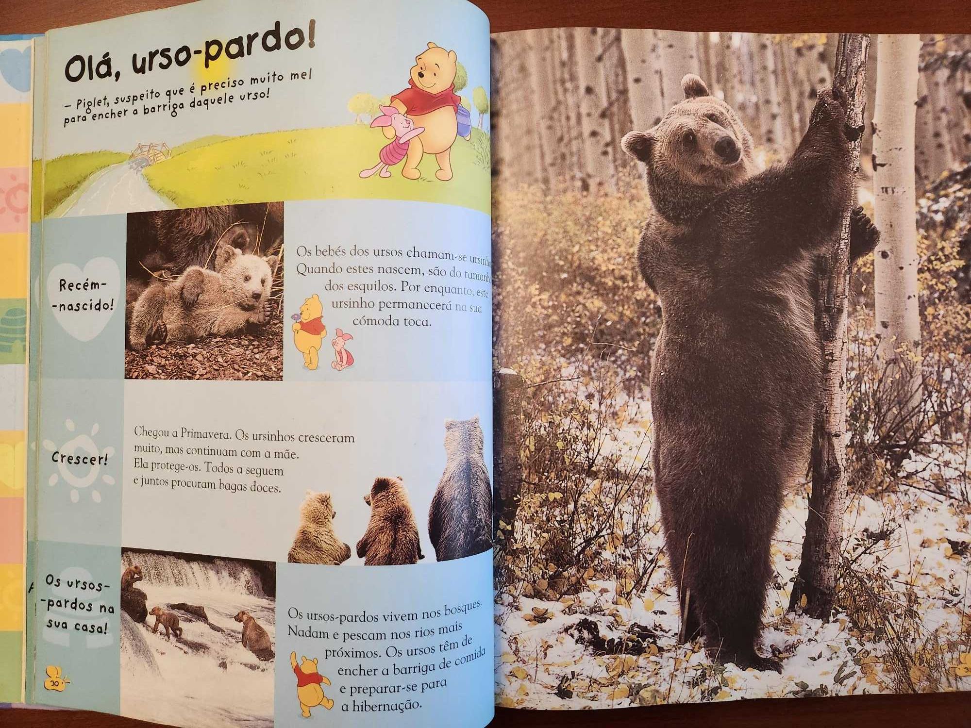 Livro infantil "A Minha Primeira Enciclopédia - Animais" impecável