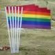 100 sztuk flag LGBT tęczowa flaga