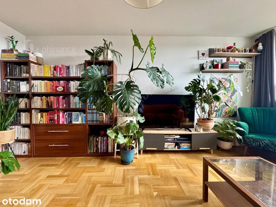 2 pokoje do wprowadzenia 47,70, loggia, piwnica