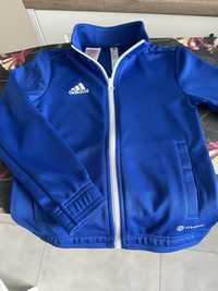 Niebieska bluza adidas stan idealny rozmiar 122