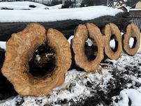 Торцеві спили  на журнальний столик . Слеби лофт