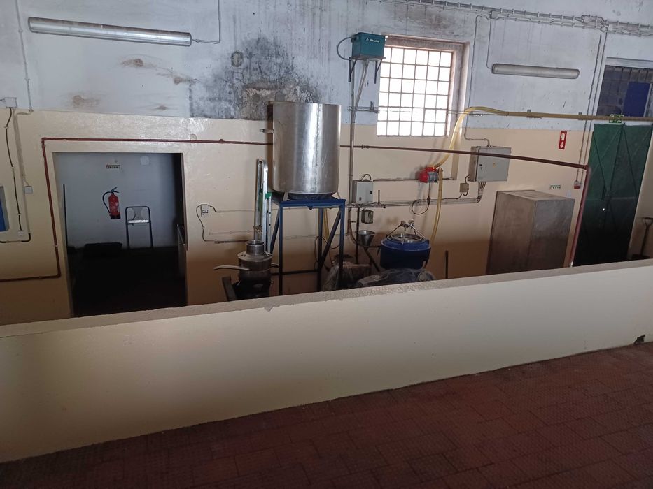 Lagar - Equipamento completo para venda