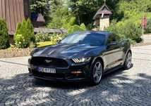 Ford Mustang 2..3 ECO BOOST-MANUAL-Śliczny -okazja -mały przebieg