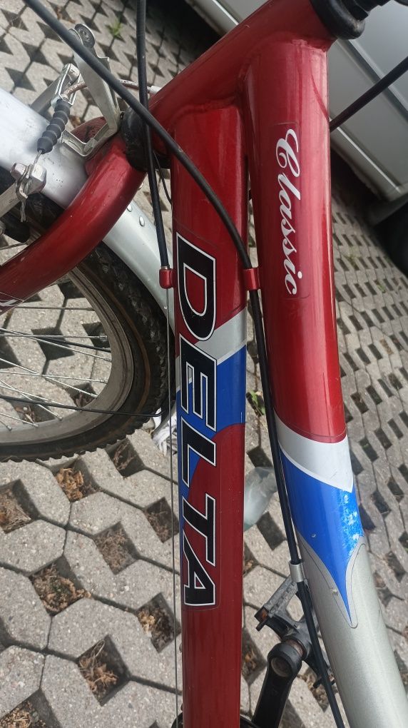 Polski rower Arkus damka