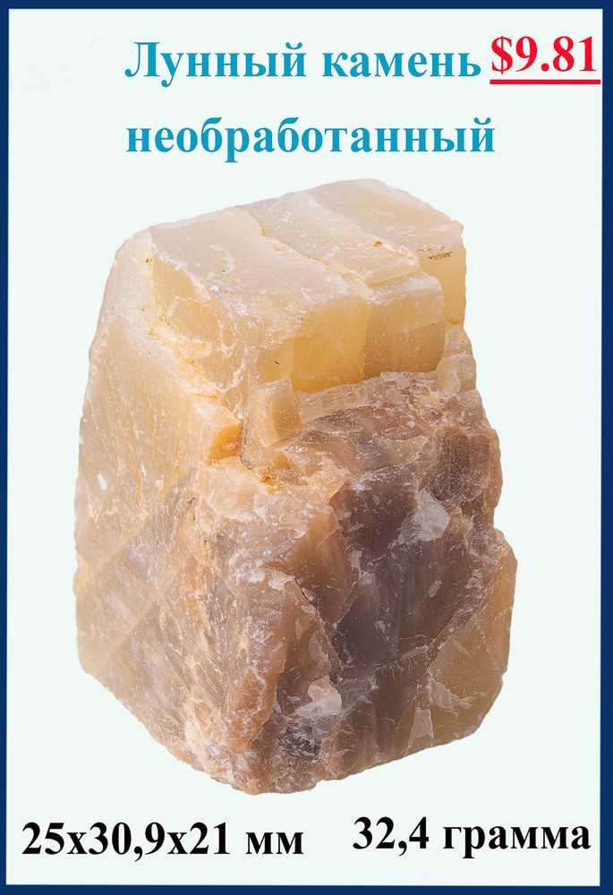 Древние окаменелости, друзы, жеоды для коллекционеров
