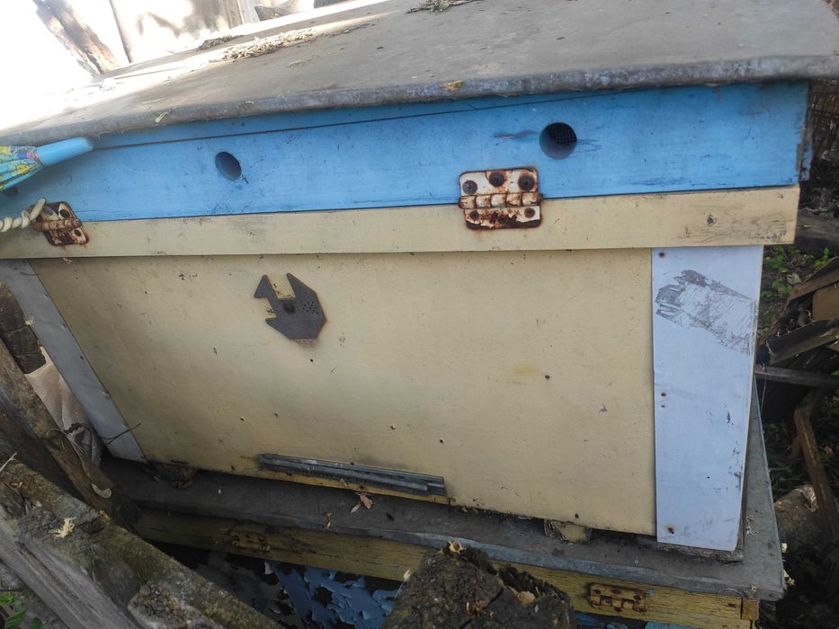 Улья, улей для пчел, разные