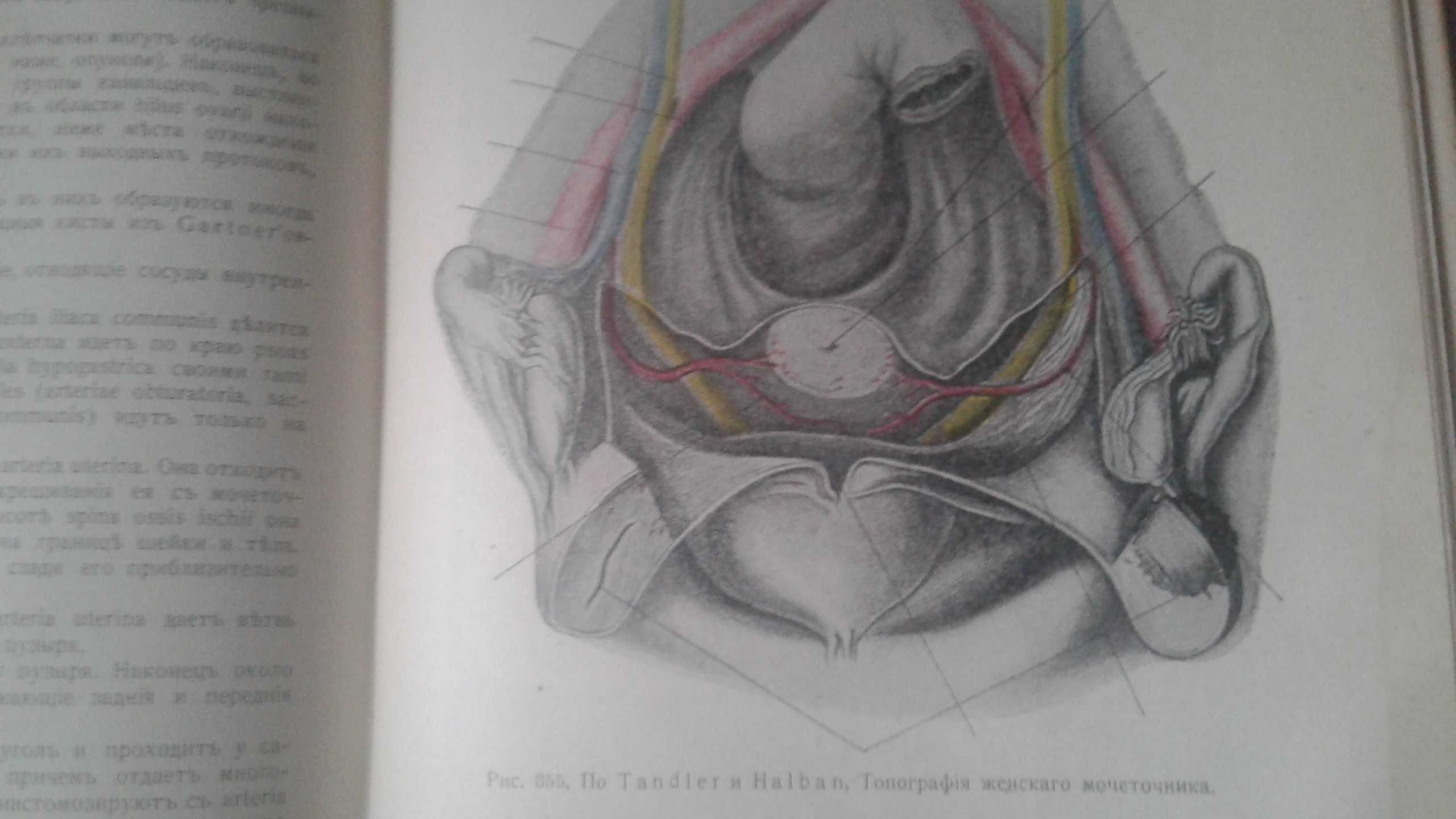 Гинекология 1914 год антикварная книга