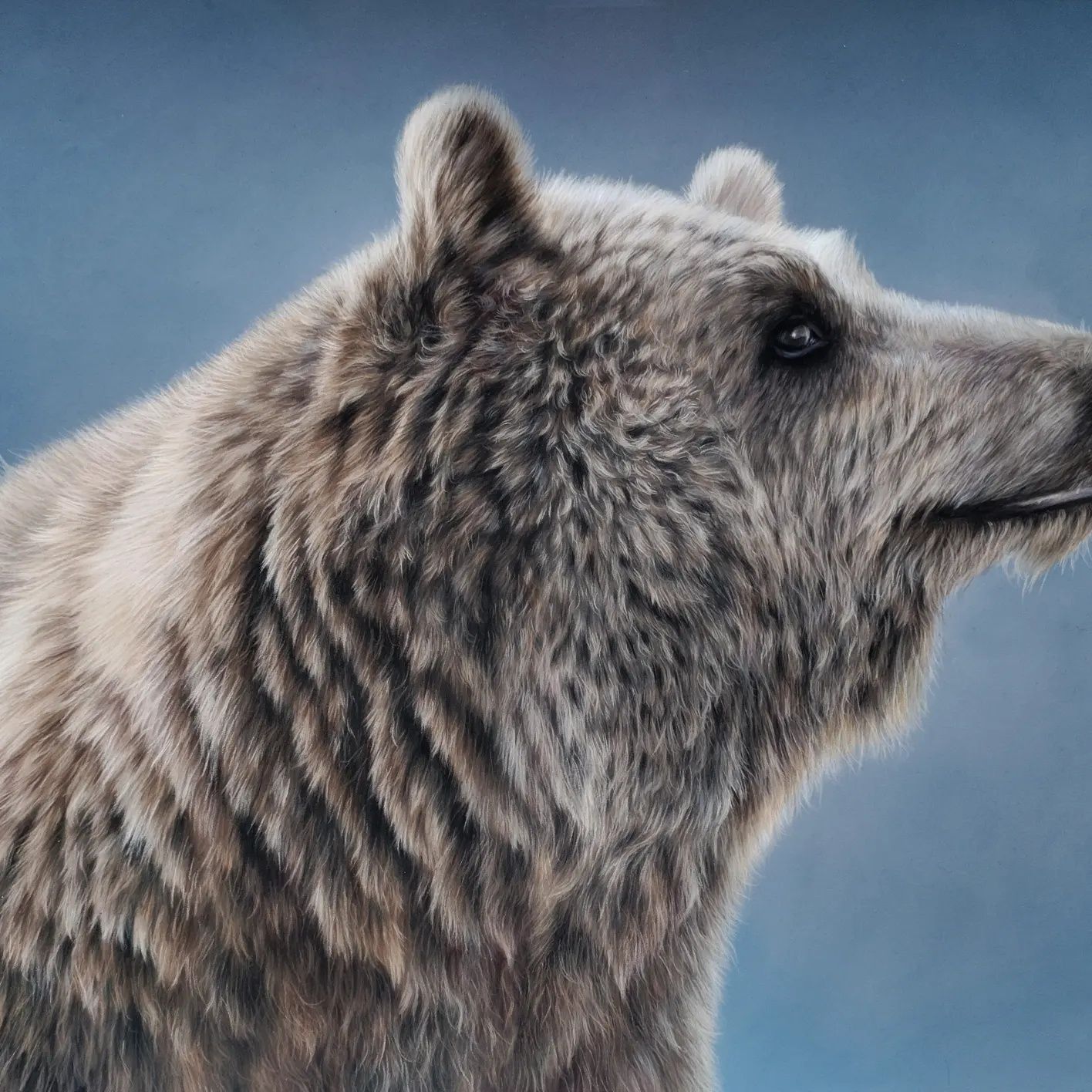 Rysunek praca artystyczna portret niedźwiedzia 50x70 cm