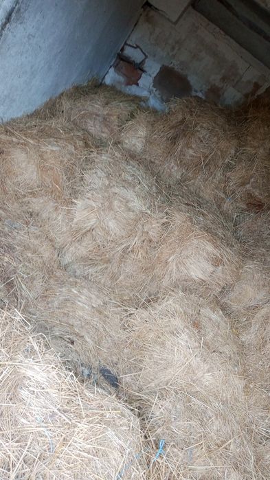 Продам Сено недорого