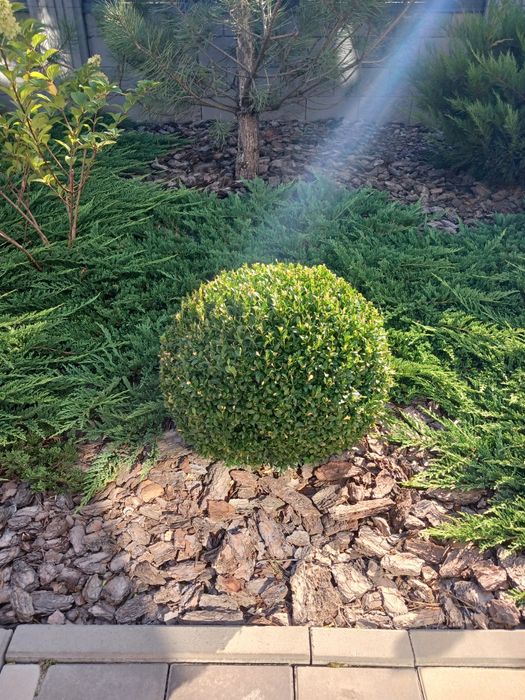 Садовник  покос газона