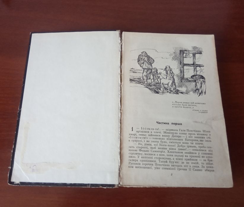 Книга Земля під копитами.