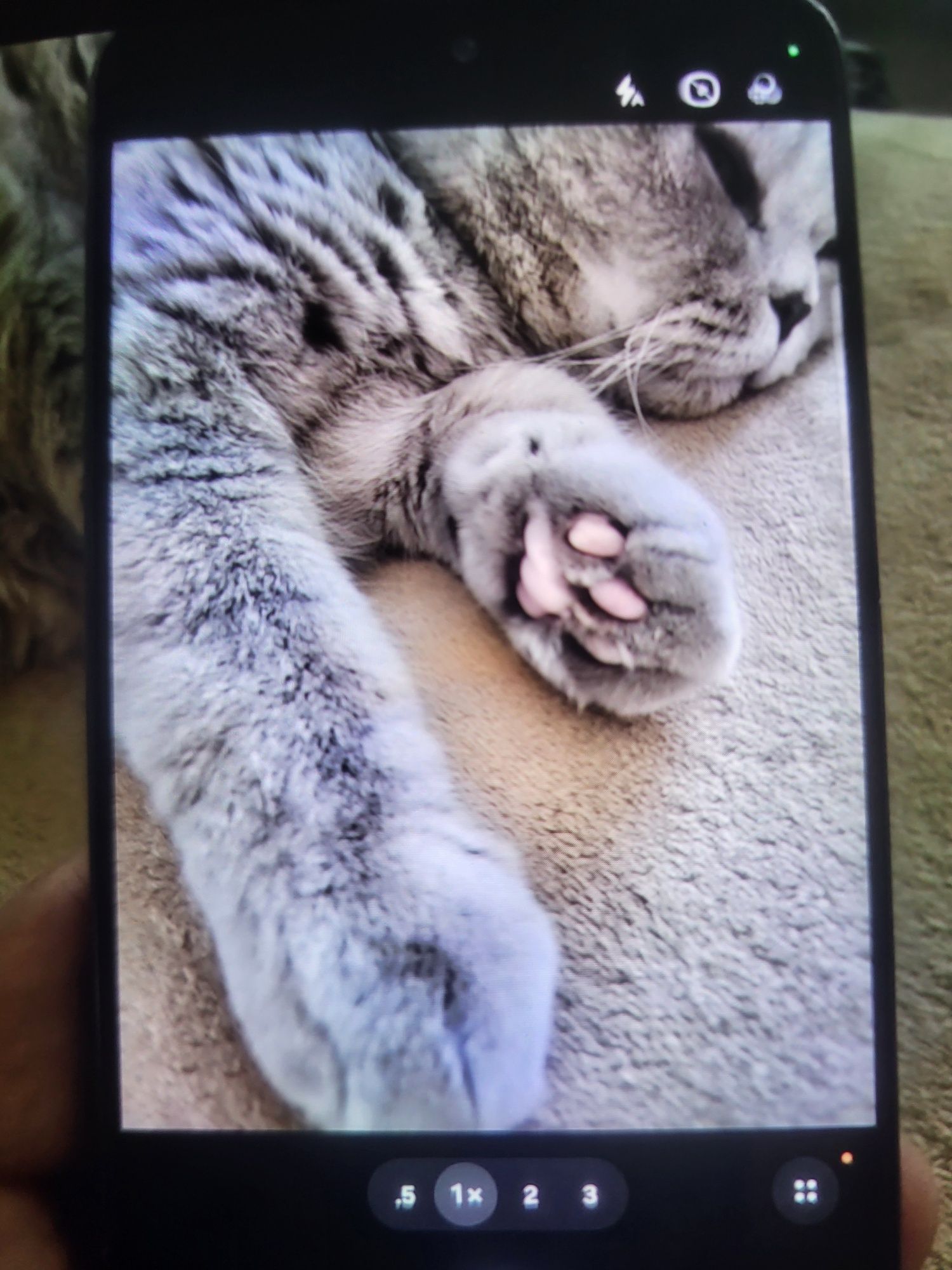 Samsung Galaxy S21 FE 8/256 Duos
