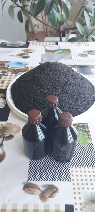 воскова міль,пжлвм, огнёвка пчелиная, восковая моль з власної пасіки.