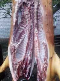 домашня свинина свині без ГМО  тушка свині м'ясо сало мясо