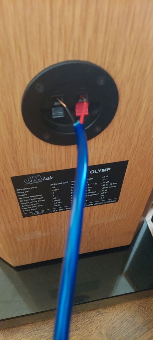 Kolumny Focal JMLab 610 Olymp