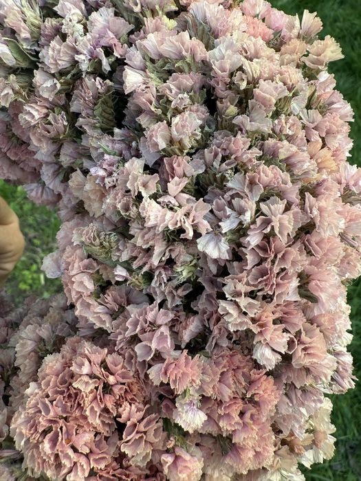 Wianek z naturalnych suszonych kwiatow