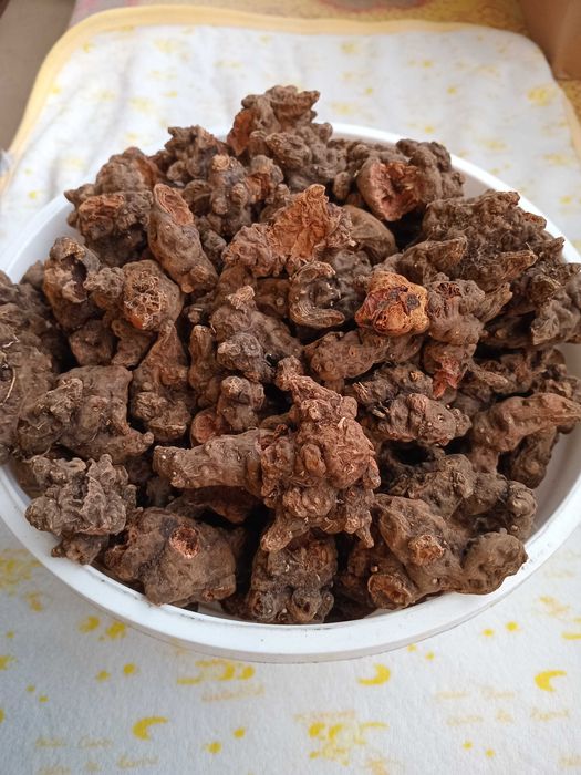 Корінь калгану сушений