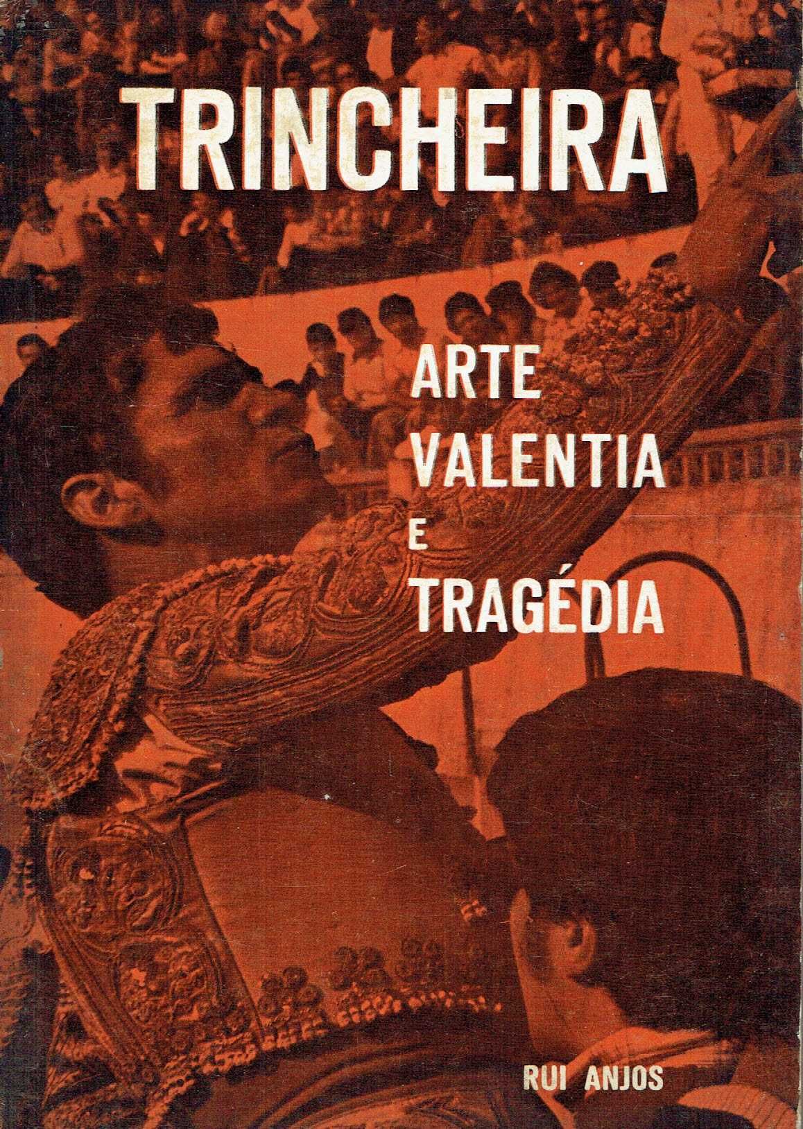 10532
	
Trincheira : arte, valentia e tragédia  
de Rui Anjos