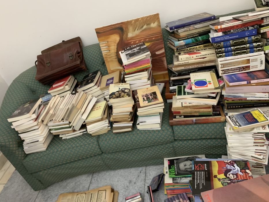 1- Conjunto de Livros ,Poesia - Arte - Literatura …etc /Bom Estado