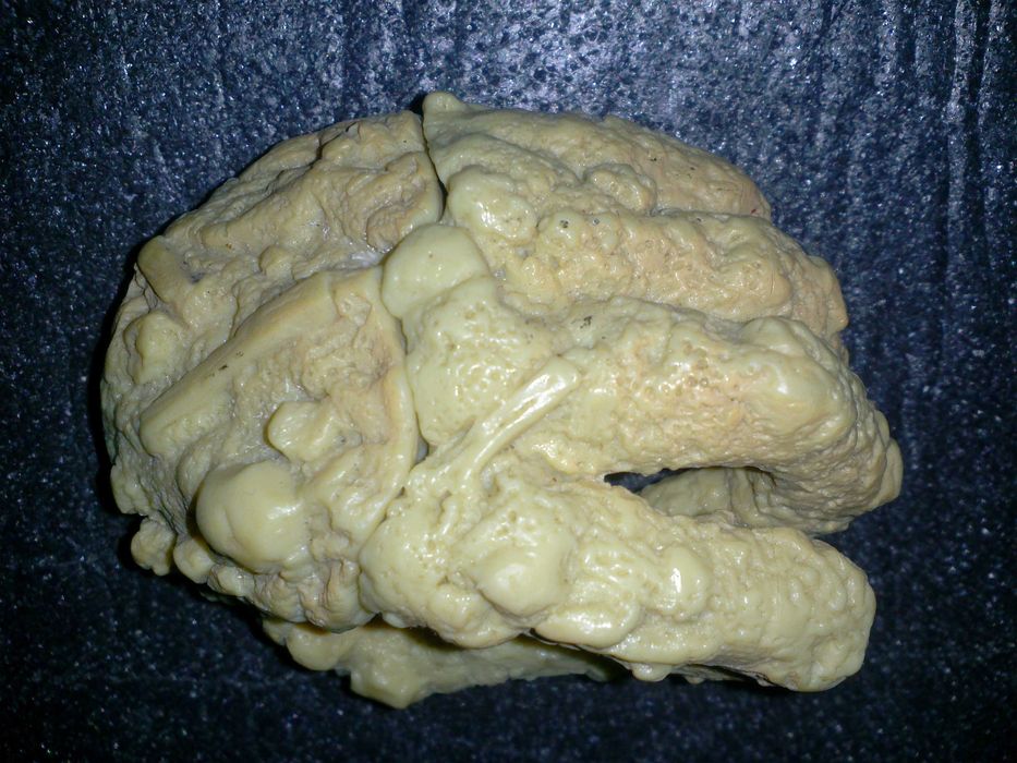 Сувенир подарок декоративный статуэтка разборная Рука держатель