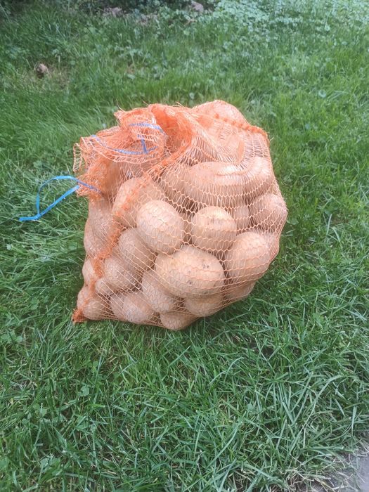 Ekologiczne ziemniaki na sprzedaż