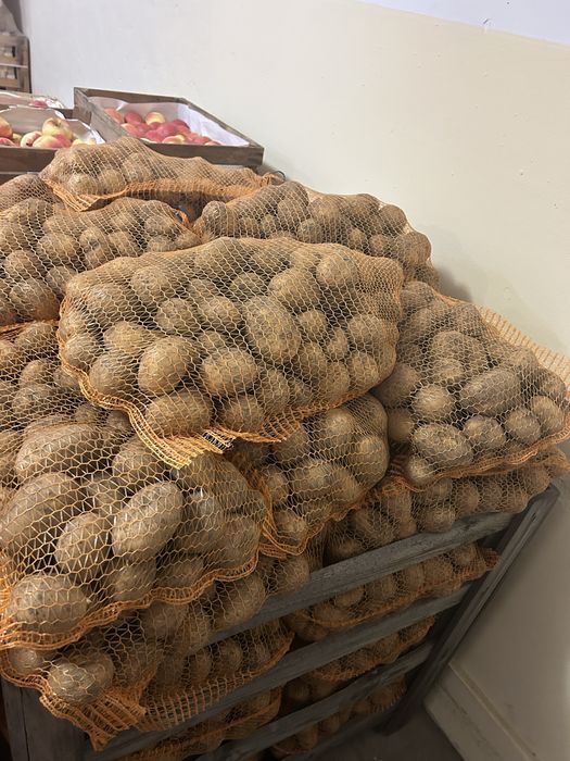 Ziemniaki Faktura Vat