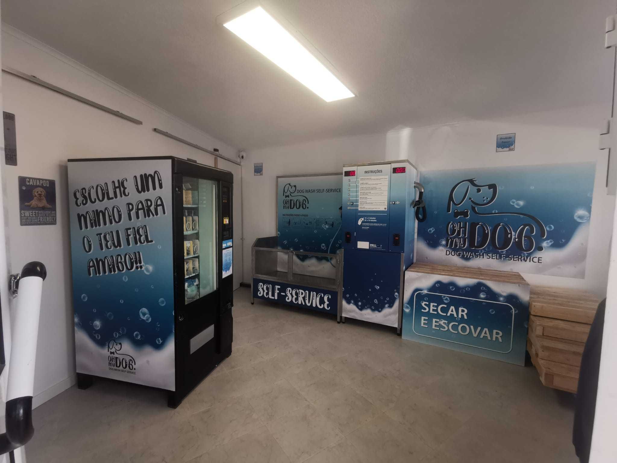 Conceito de negócio em expansão em Portugal, dog-wash self-service