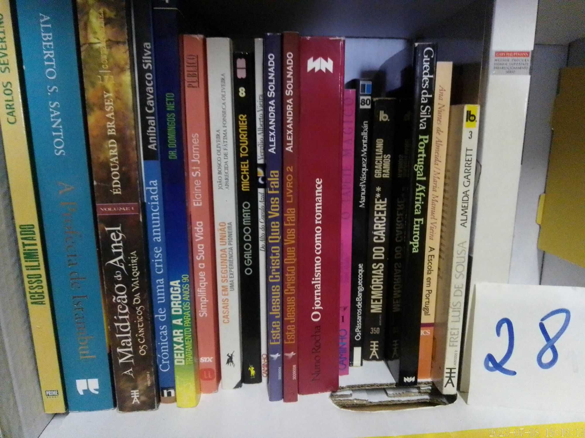 LOTE 28 - LIVROS Diversos - Vendidos EM SEPARADO - Preços Variados