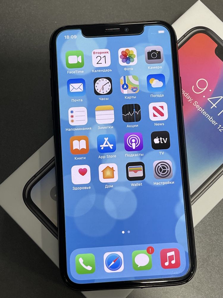 IPhone X 256 Gb Space Gray Never Lock