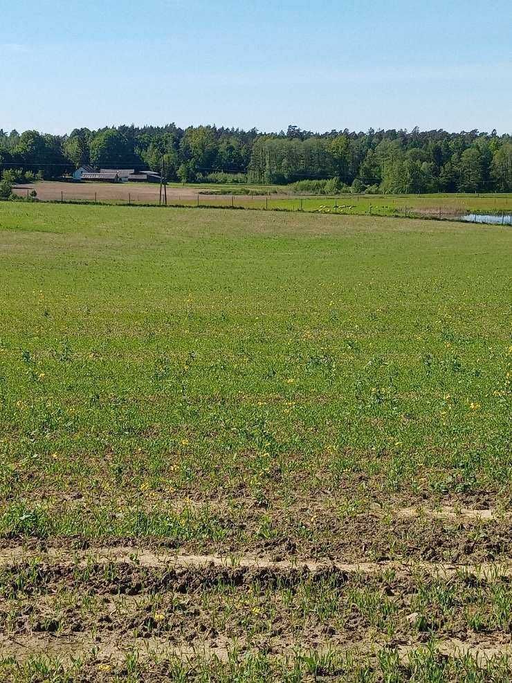 Sprzedam działki budowlane na Mazurach