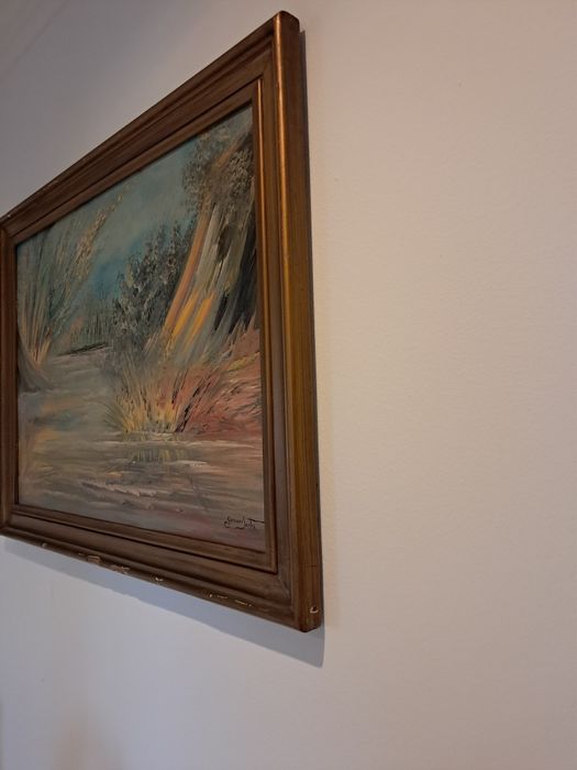 Quadros de Germano Santos