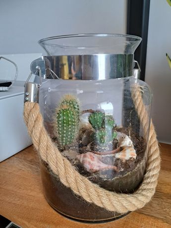 Słój wazon dekoracyjny z kaktusami