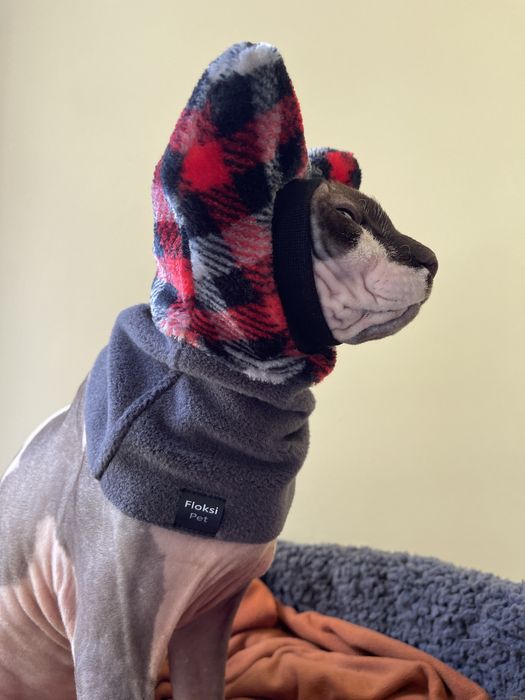 Шапка для сфінкса кота кішки кошеня одежда